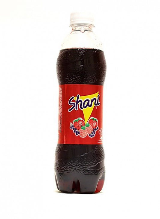 SHANI DRINK 12X500ML