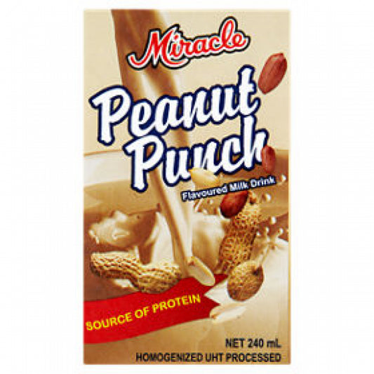 DR MIRACLE PEANUT PUNCH 24X240ML
