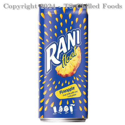 RANI FLOAT PINEAPPLE 24x235ml