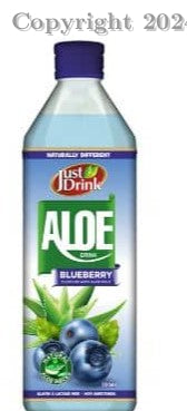 ALOE BLUEBERRY JUST DRINK 12X500ML